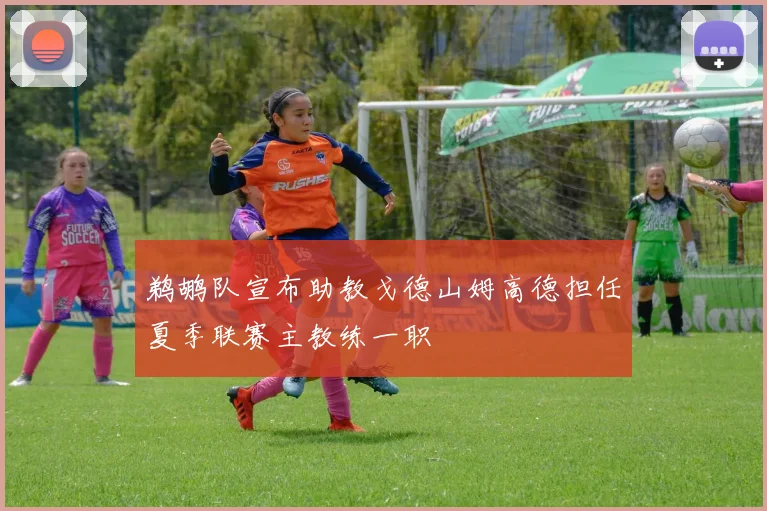鹈鹕队宣布助教戈德山姆高德担任夏季联赛主教练一职