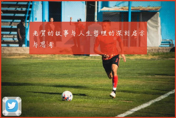 老贺的故事与人生哲理的深刻启示与思考